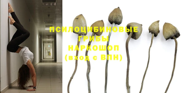MESCALINE Алзамай